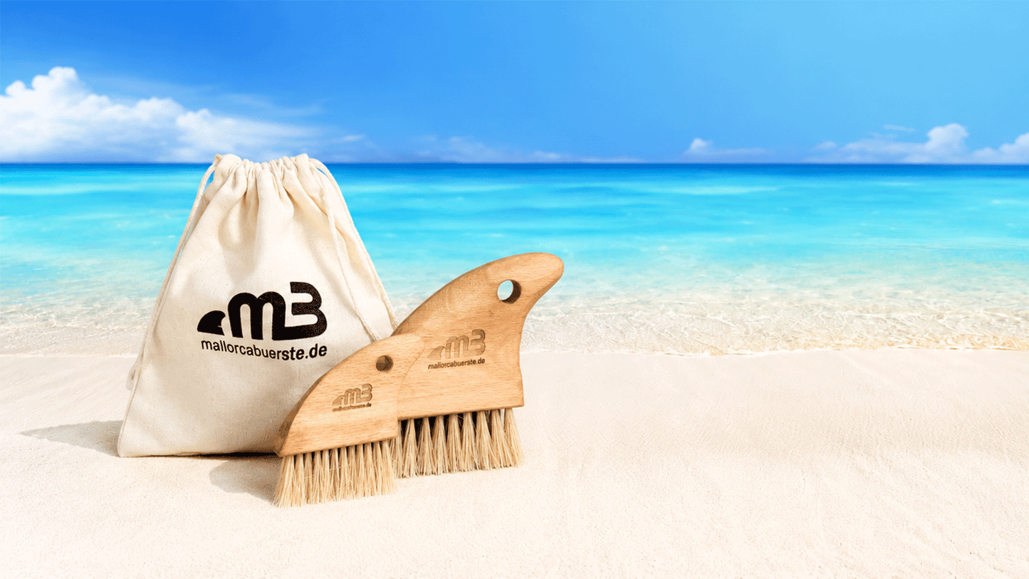 Bahía Beach Brush | Family Edition